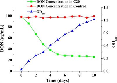 Biodegradation of Deoxynivalenol by a Novel Microbial Consortium